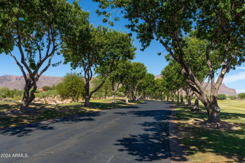 Club Village Drive