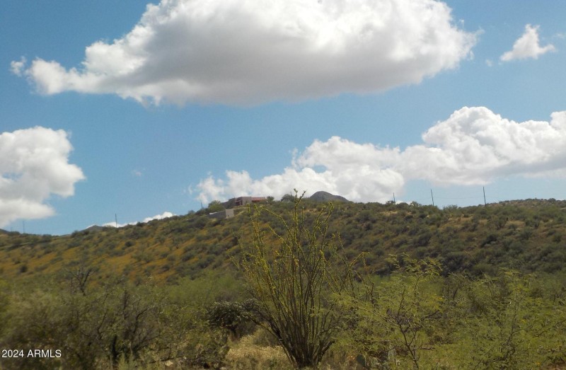 185 RUTA CAMARON