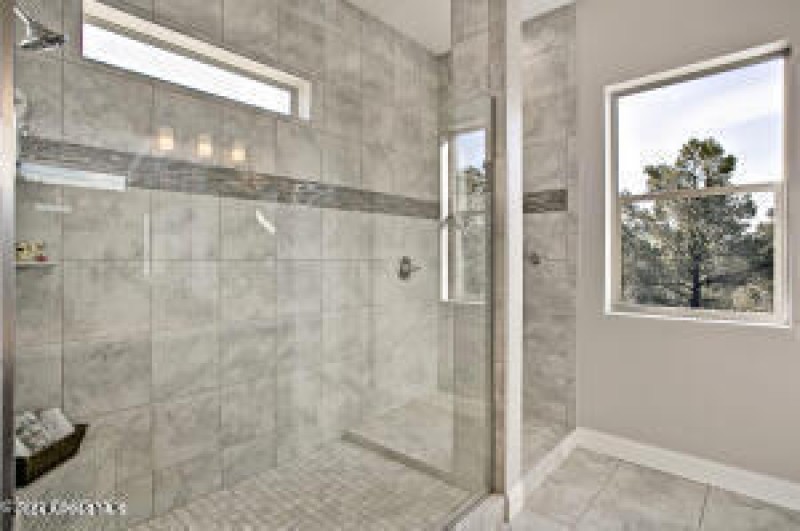 Master Bathroom Shower