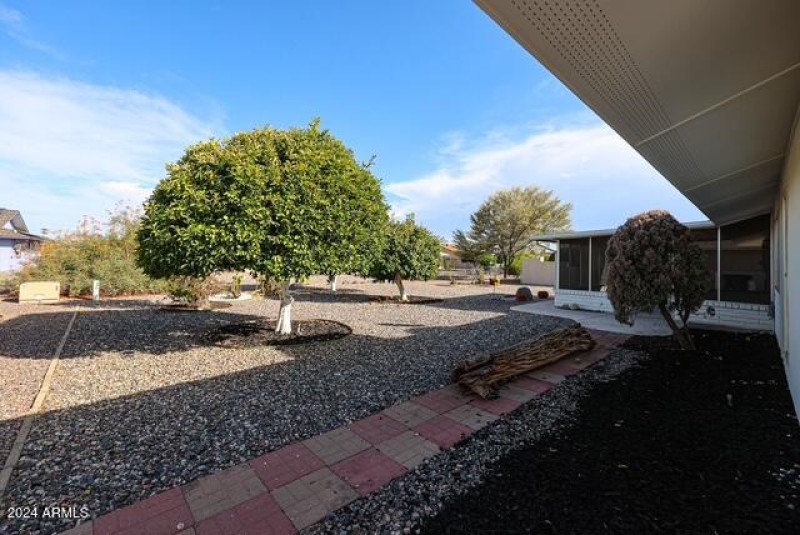 Backyard Open Space!