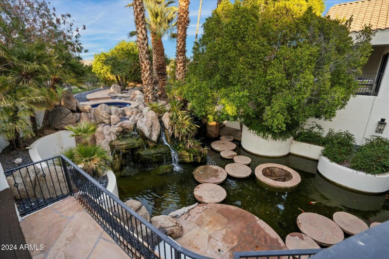 Koi Pond