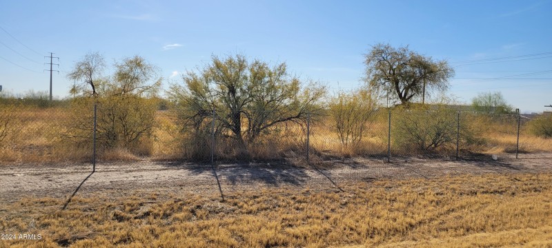 Looking South