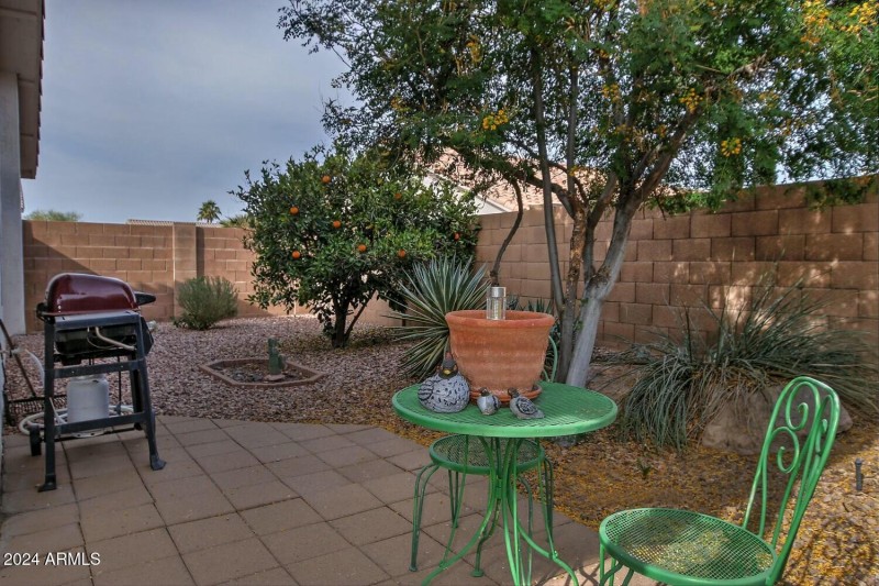 Backyard 2