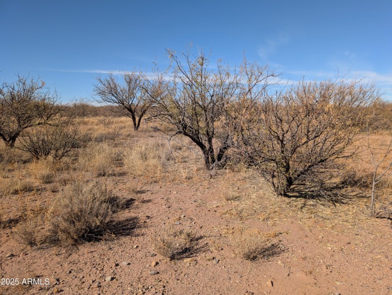 Buildable Land