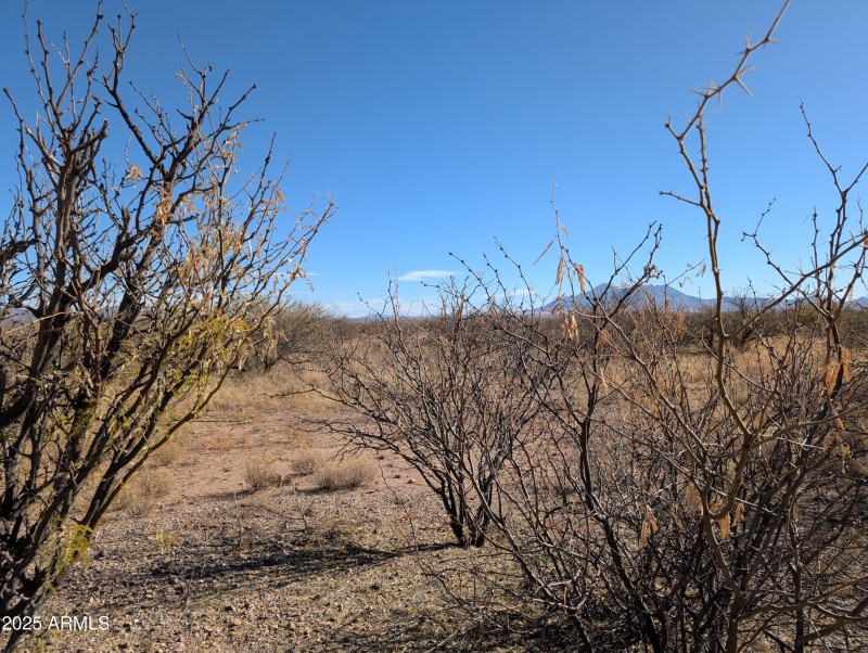 Buildable Land