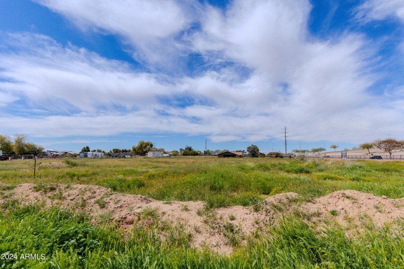08-Ocotillo