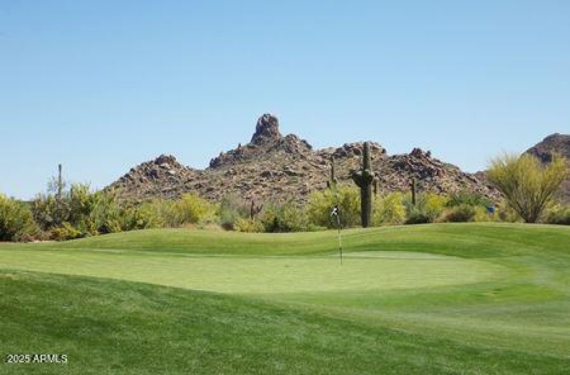 Impeccable Greens