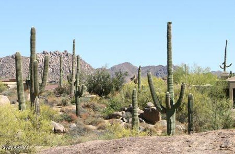 Numerous Desert Walking Trails