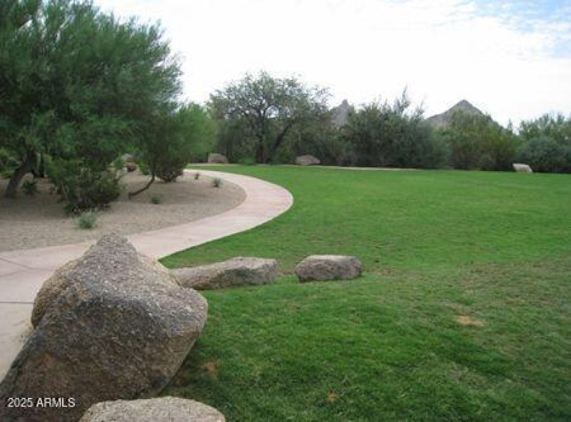 Ample Greenspace