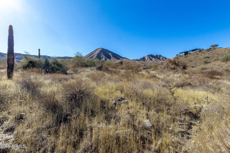 10 - Big Horn 14048