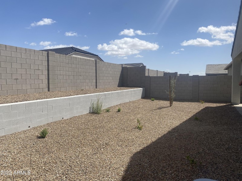 Desert landscape