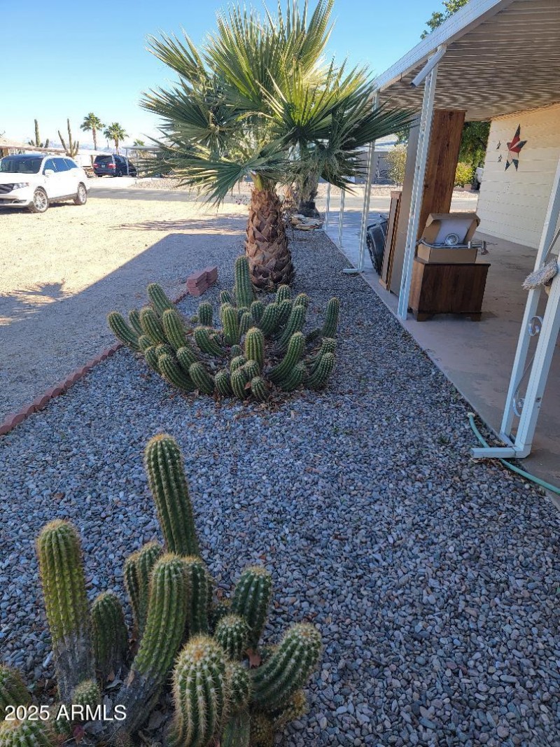 3604 landscaping