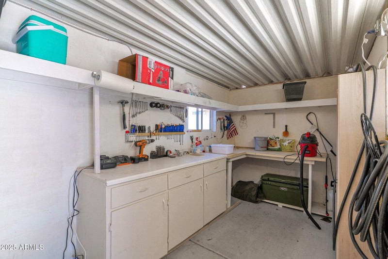 22-web-or-mls-P1056641