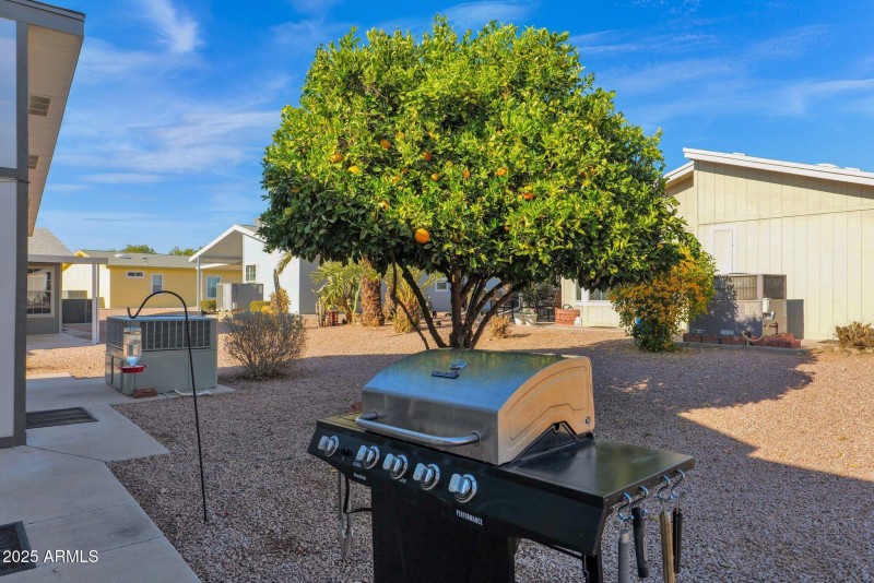 26-web-or-mls-P1056650