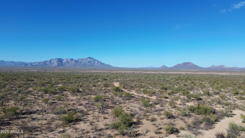DJI_0361