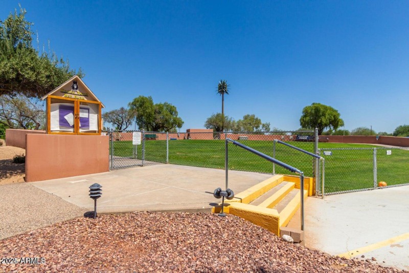 dog park