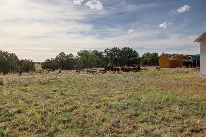 YOUNG ARIZONA FARMLAND