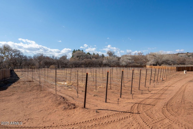 Vineyards ready for vines