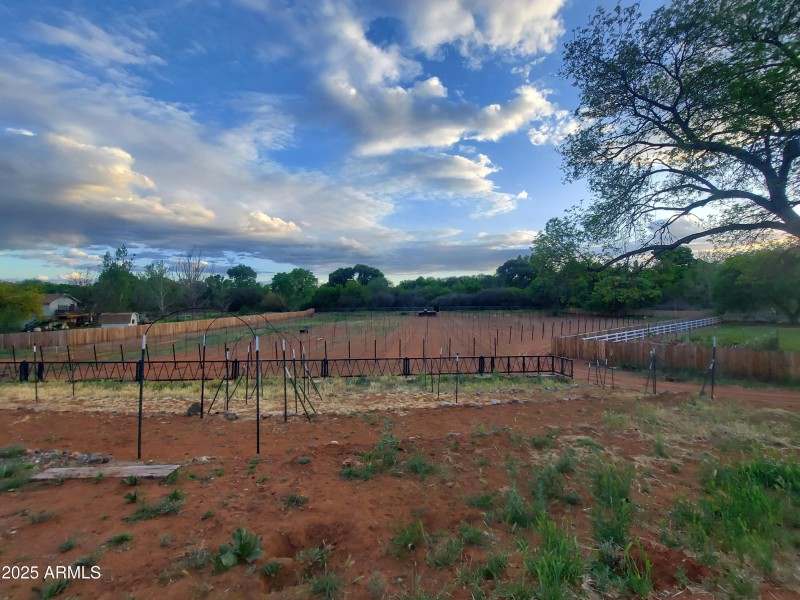 Vineyard