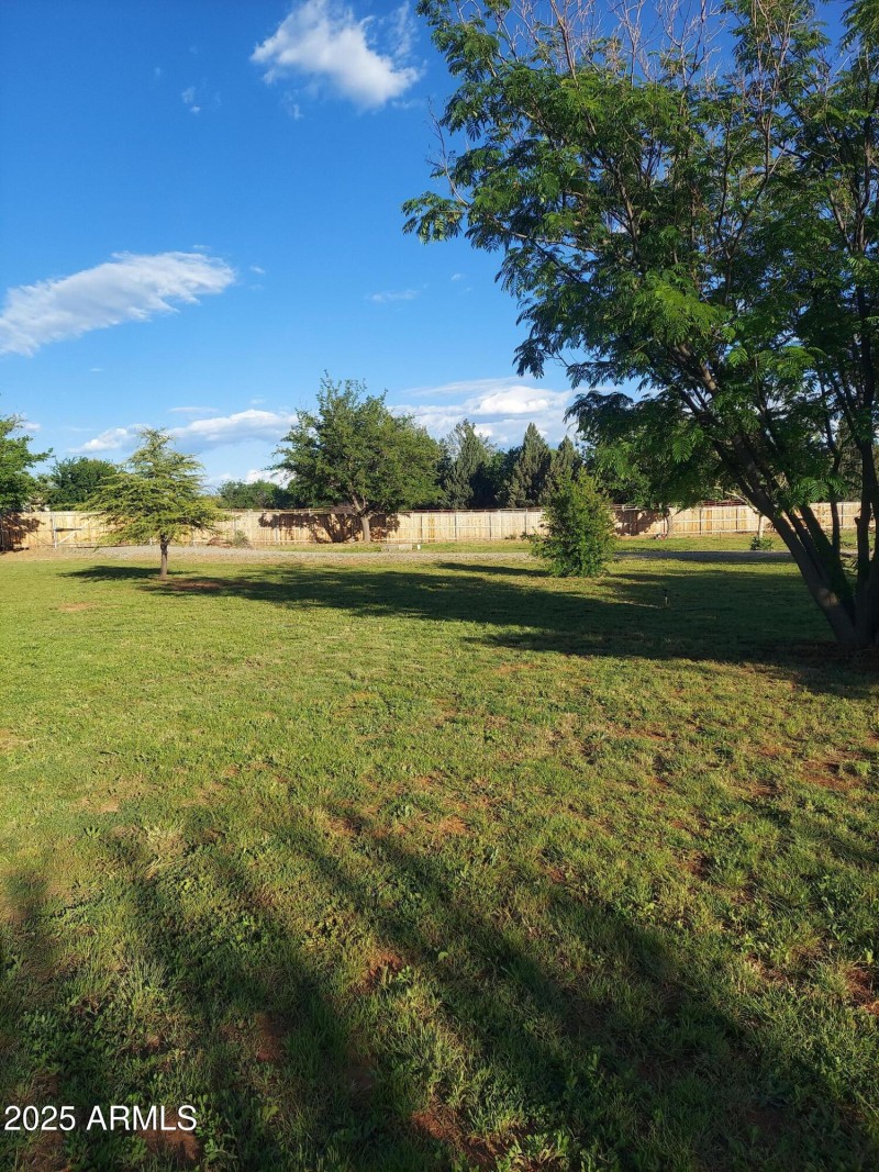 Grassy Field