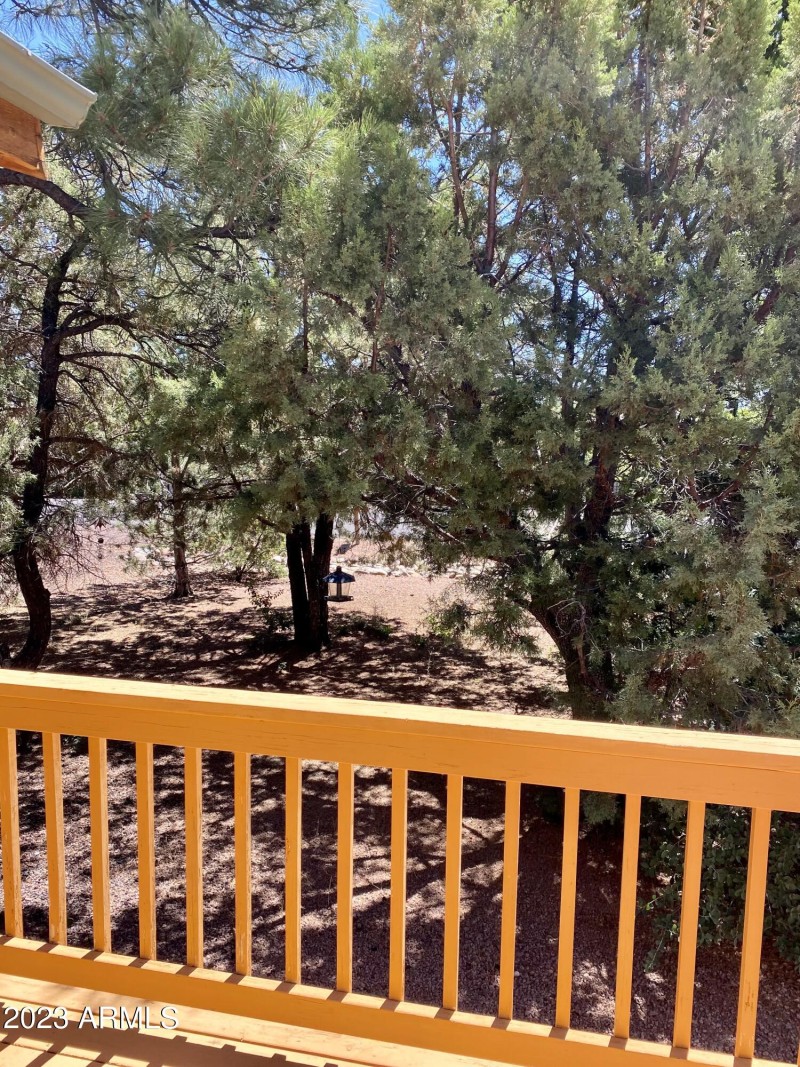 Views from the deck