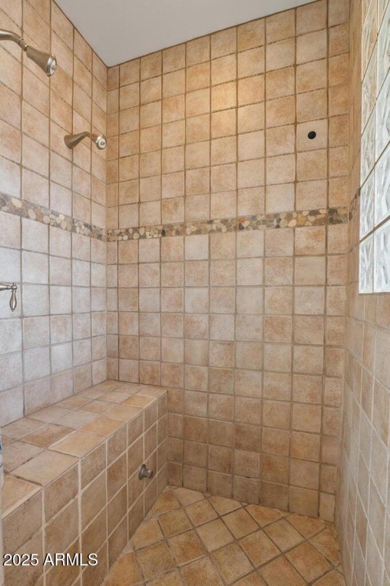 Primary Shower