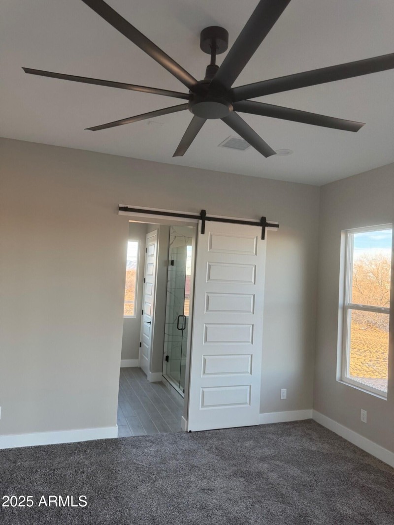28304 master bath barn door