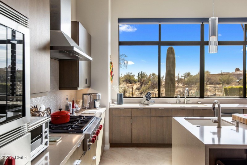 Kitchen Window View