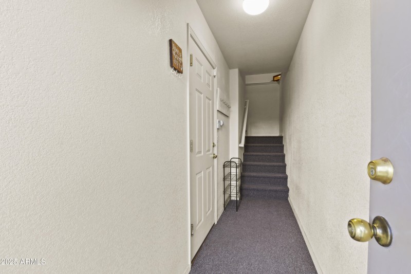 Basement Entryway