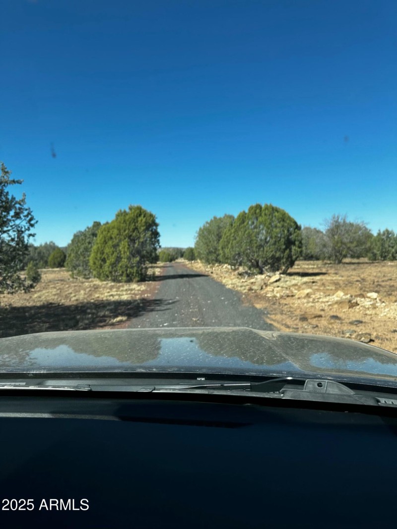Driveway to home
