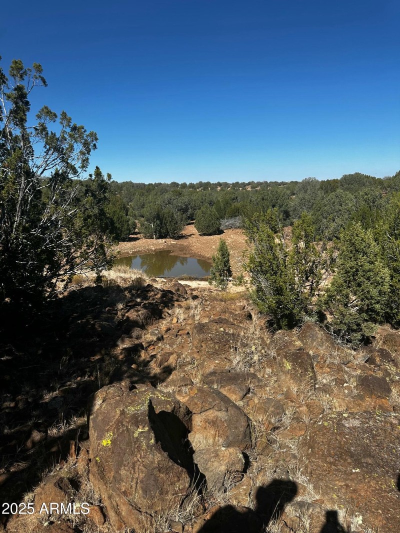 Seasonal pond