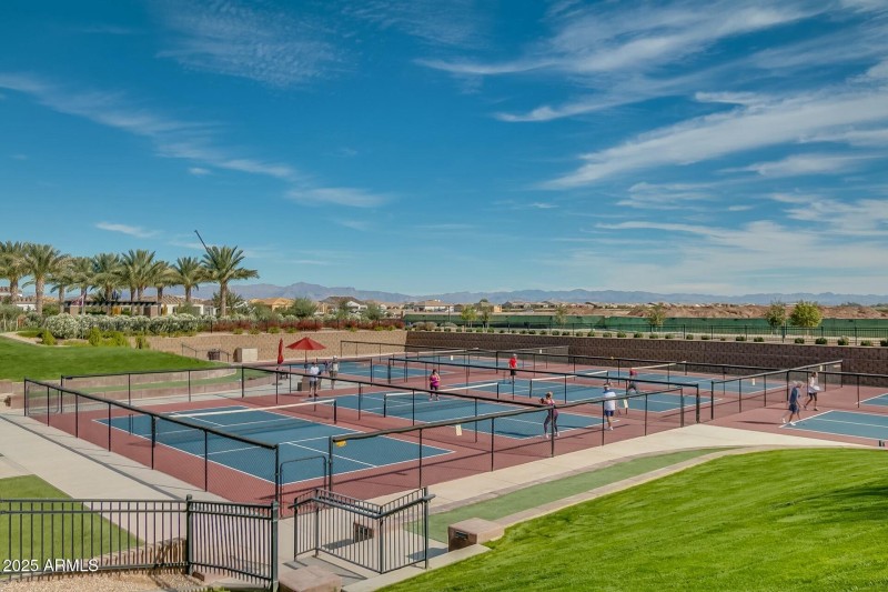 Pickle Ball