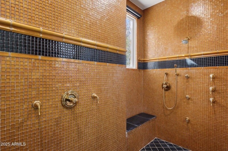 Master Walk-in Shower