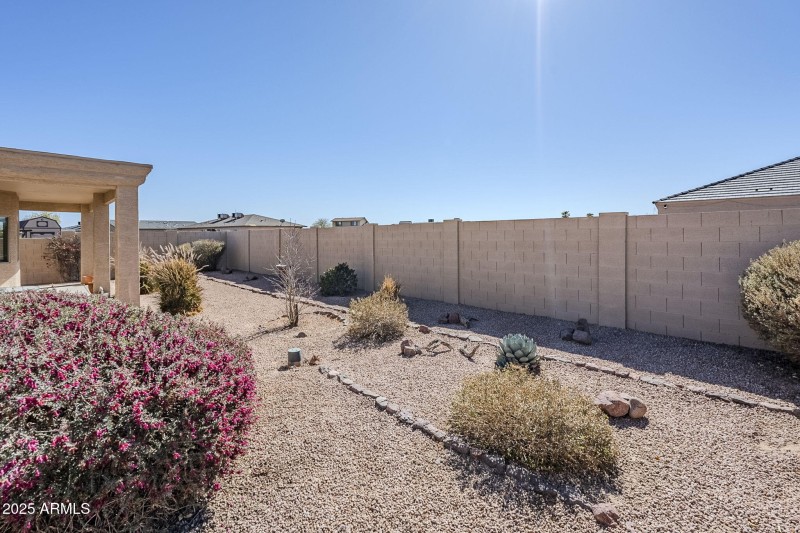 Back yard