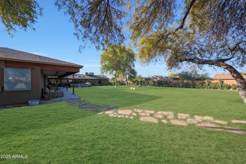 Backyard2