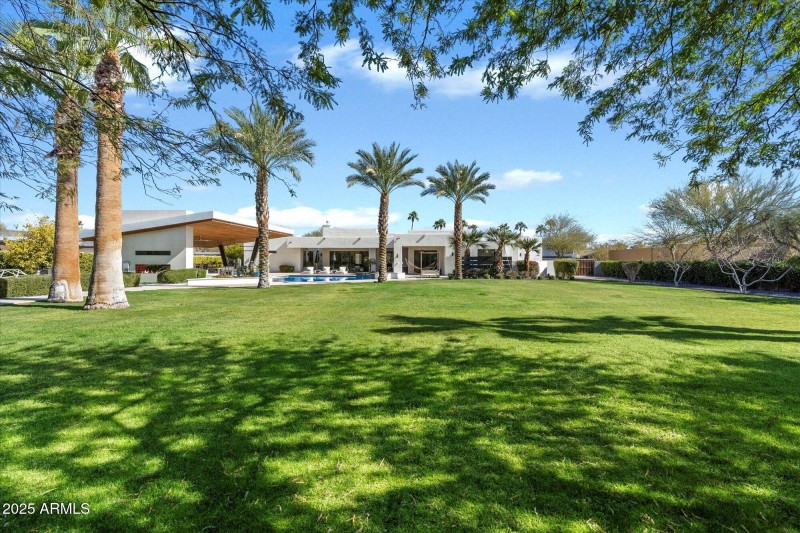 Backyard