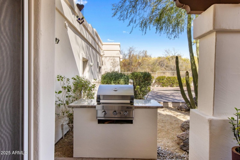 Backyard BBQ
