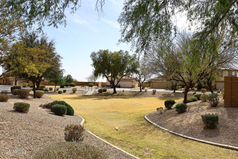 Community Park2