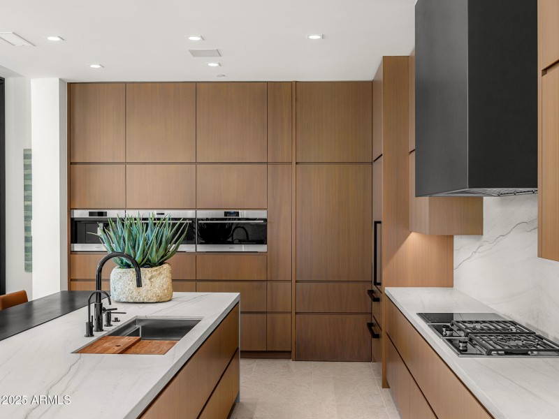 luxury kitchen4