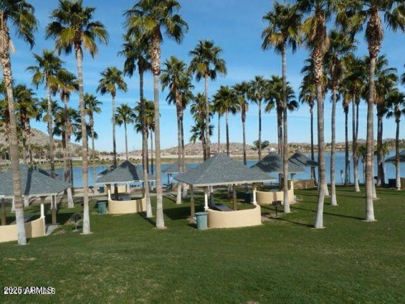 Estrella 60
