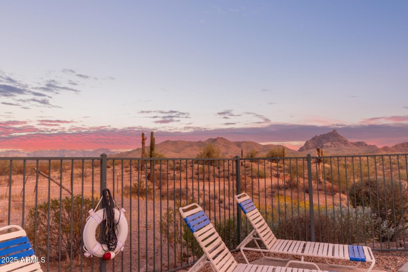 34 - Saguaro