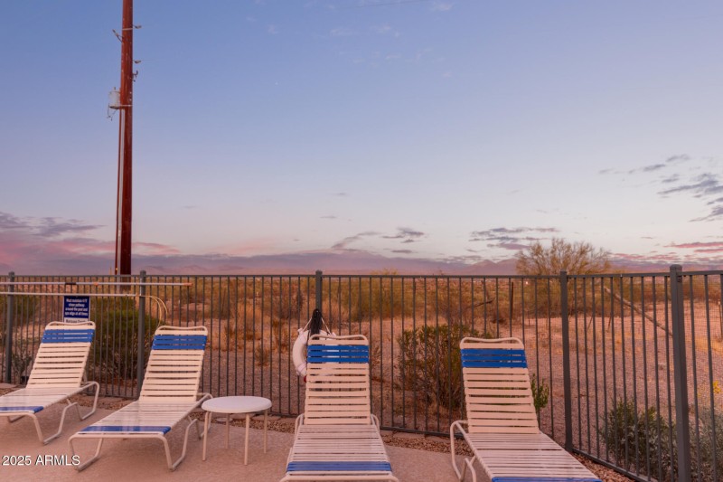 33 - Saguaro
