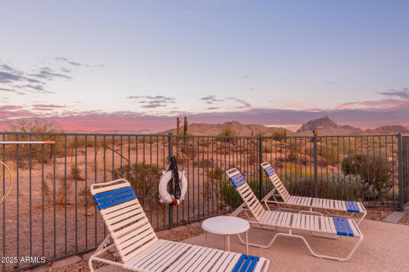 32 - Saguaro