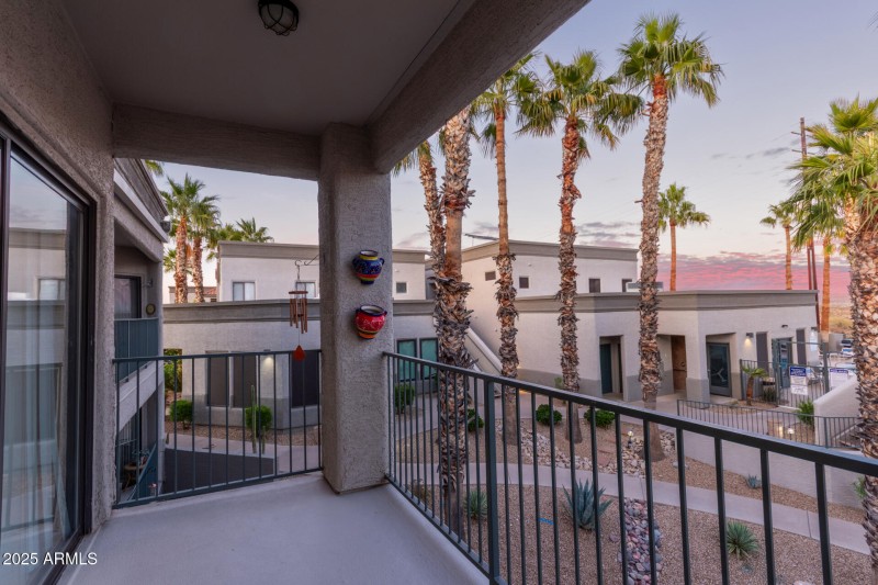 29 - Saguaro