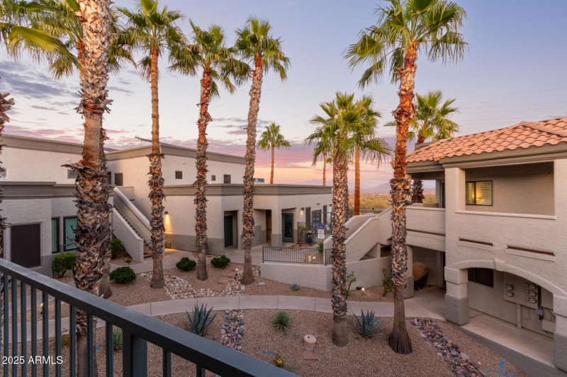 26 - Saguaro