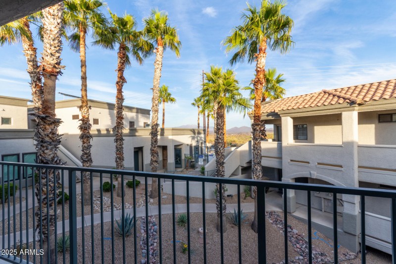 40 - Saguaro