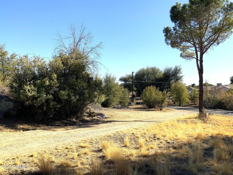 circular drive looking SW