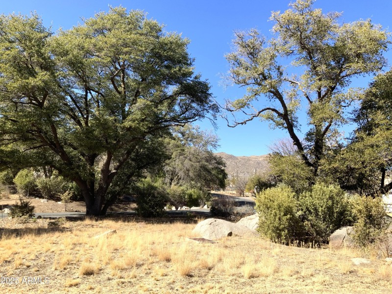 front yard nw