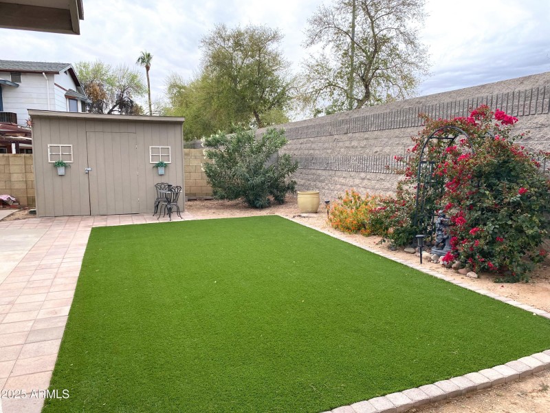 Back Yard