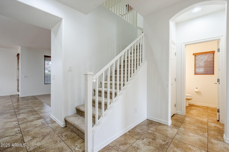 26-web-or-mls-Seagull-26